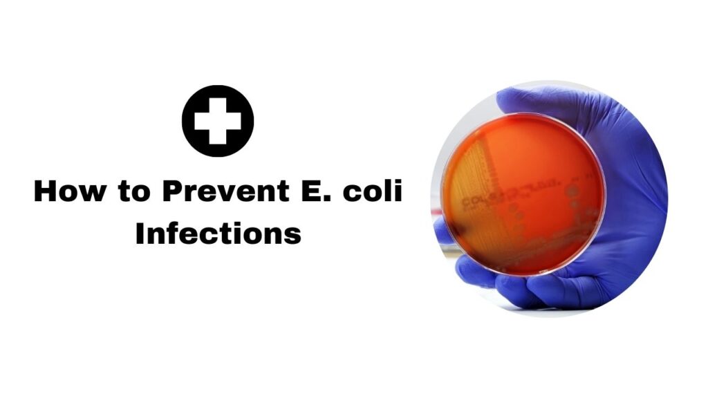 E. coli Infections